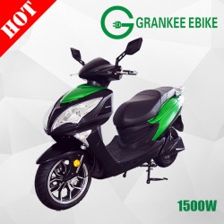 Latest Original Works Fat Tire Electric Dirt Bike
