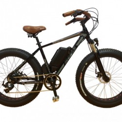Monca New Fashion Update Cool Snow Electric Bicycle with Fat Tyres E Bike for Long Mountain