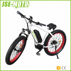 Jse-Moto MID Drive MTB Fat Tire Electric Bike E-Bike 250W-1000W