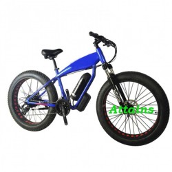 2018 New Model 48V 1000W Fat Tire Electric Bike
