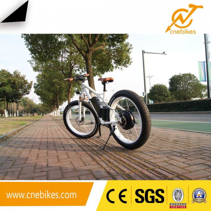 2017 48V 750W Fat Tire Electric Bicycle Ebike for Adults Image1