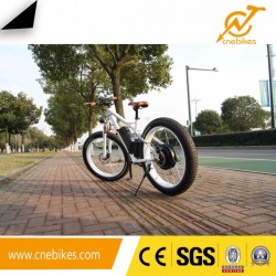 2017 48V 750W Fat Tire Electric Bicycle Ebike for Adults