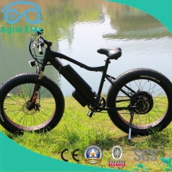 48V 500W Fat Tire Snow Electric Bike with LED Display