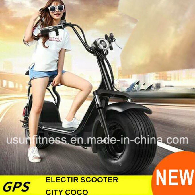 Two Wheel Fat Tire Electric Scooter E-Bike with Remove Battery Image1