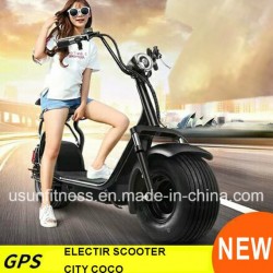 Two Wheel Fat Tire Electric Scooter E-Bike with Remove Battery