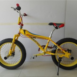 20*4.0 Fat Tire BMX Bike with Spoke Wheel (AOK-BMX005)