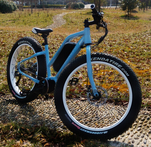 Powerful 48V 350W Cool Fat Tyre Electric Bike Image1