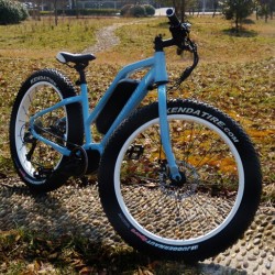 Powerful 48V 350W Cool Fat Tyre Electric Bike