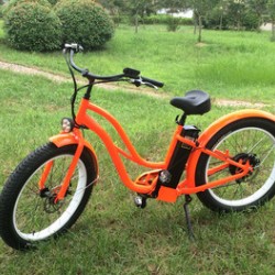 48V 500W Popular Fat Tyre Electric Bike for Ladies