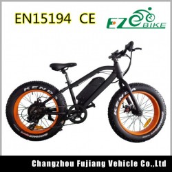 2018 New Design Fat Tire Mini Electric Bike