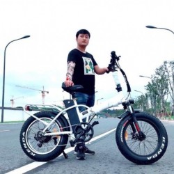 Harley Fat Tire Kenda 20" Mountain Electric Bike (TDN01F)