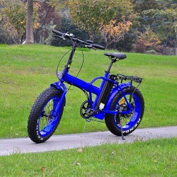 20 Inch 500W Fat Tyre E Bike (RSEB-507)