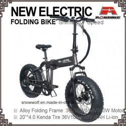 Fat 20*4.0 Electric Folding Bicycle Big Tire Electric Bike
