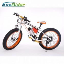 26inch Fat Tyre 48V 350W Mountain Bike Electric Snowmobile