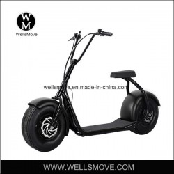 1000W Citycoco/Seev/Wolf/Scrooser Fat Tire Electric Scooter/Harley Electric Motorcycle Bicycle