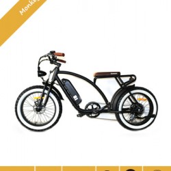 20X4.0 Fat Tire Monkey Electric Bike