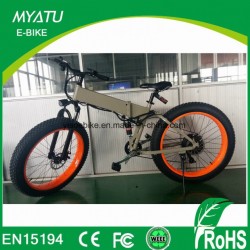 Mountain Full Suspension Fat Electric Bicycle with 4.0 Tire