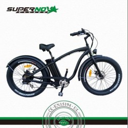 Ce Fat Tire Electric Bicycle for Europe
