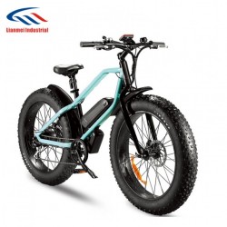 2018 New 26X4.8 Inch Fat Tyre E-Bicycle