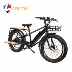 2018 Cheap High Power New Design Fat Tire Lithium E-Bike
