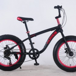 20′′ Steel Disc Brake 7 Speed Fat Snow Tire Bike