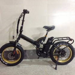 20" Fat Tire 500W Folding Electric Bike (TDN05F)