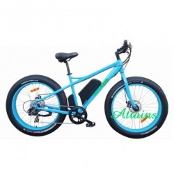 High Speen Fat Tire Snow Mountain Sand Beach E Bicycle