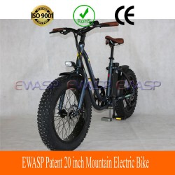Ewasp Patent 20 Inch