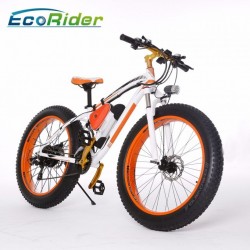 26inch Fat Tire Electric Bike/Mountain Bike/Snow Bike Bicycle 2018