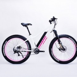 Good Looking High Quality Lady Fat Tire Lithium Electric Bicycle