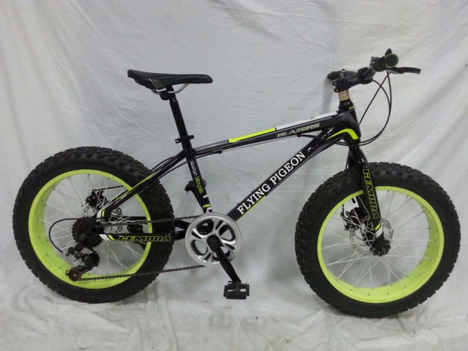 Popular New Model 20" *4.0 Wide Fat Tire Bike (FP-MTB-FAT07) Image1
