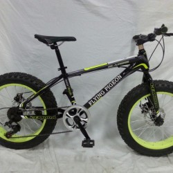 Popular New Model 20" *4.0 Wide Fat Tire Bike (FP-MTB-FAT07)