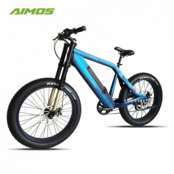 Hidden Battery 48V 500W Electric Bikes Fat Tyre