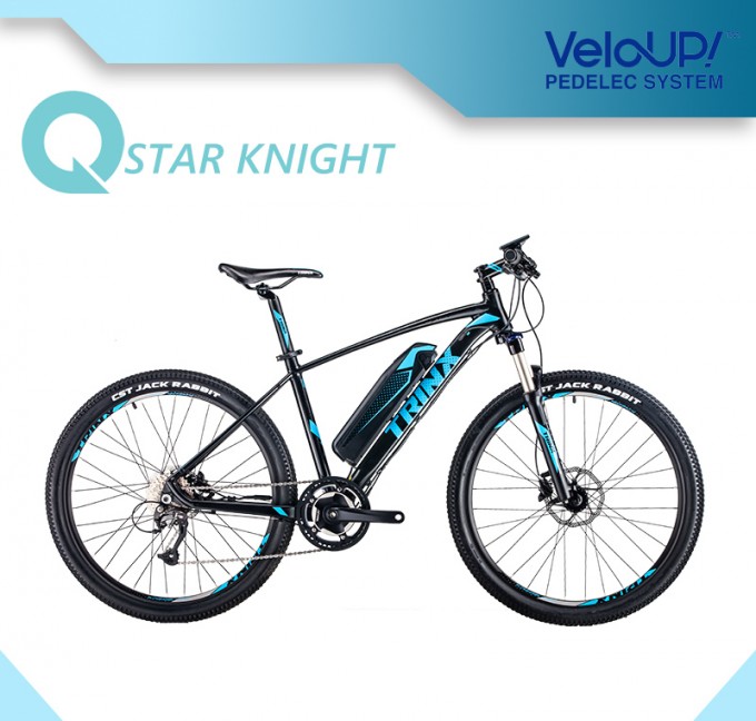 Green Power 36V 250W Fat Tire Electric Bike Image1