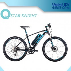Green Power 36V 250W Fat Tire Electric Bike
