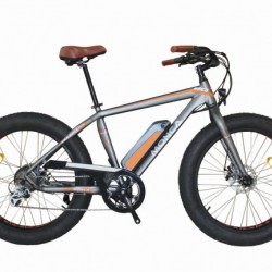 Prevalent Electric Bike Bicycle E Scooter Motorcycle Fat Tyre Shiman Speed Gear 8fun Motor 500W