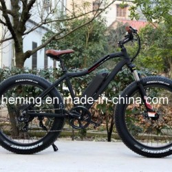 250W Powerful Brushless Motor Fat Tire E-Bikes