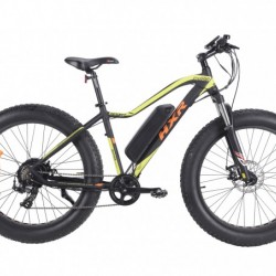 Mountain Snow E-Bike with Fat Tire