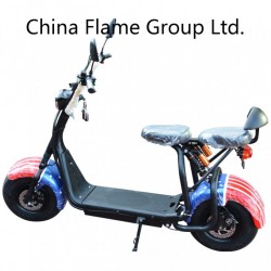 Fat Tire Electric E Bicycle with 60V/20ah/30ah