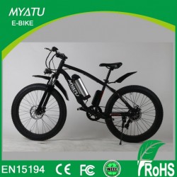 Promotion Cheap Price Fat Tyre E-Bike/Cruiser Electric Bike