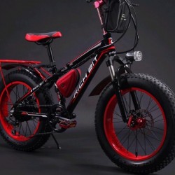 Fat Tire Electric Bike Electric Bicycle