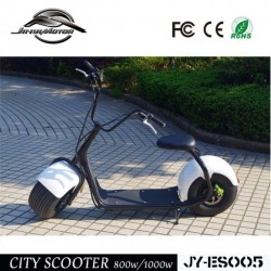 China 1000W Hub Motor Fat Tire E-Bike (JY-ES005)