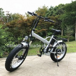 Mini Fat Tyre E Bike (RSEB-507)