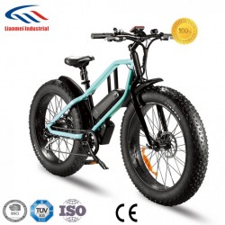 2018 New Electric Fat Tyre Bicycle