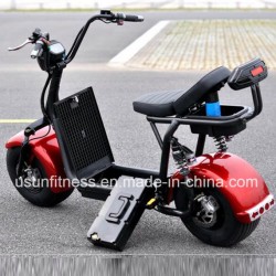 Fat Wheel Tire Usun Harley Citycoco Electric  Bicycle with Ce