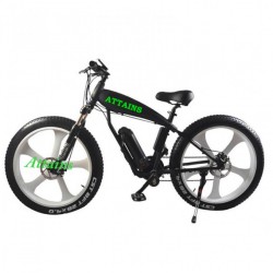 2018 New Model 48V 500W Electric Fat Tire Bike