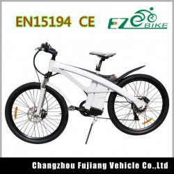 Hot Sell Fat Tire E-Bike Tde01