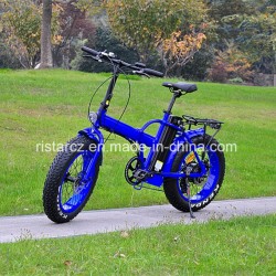 20inch 48V/20.4ah Fat Tyre E-Bike (RSEB-507)