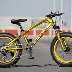 Hot Sale Cheap Jiebao Absorbing Fat Tire Bicycle Bike Mountain Bike Beach Bike