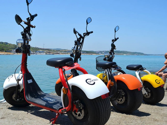 China High Quality EEC Citycoco Electric Scooter, 1000W Fat Tire Electric Bike Image1